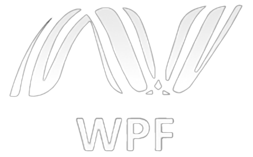 wpf